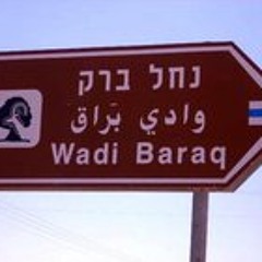 Barak Fitoussi