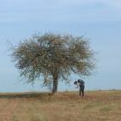 Charlotte Meyer-Hamme