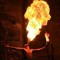 Bullet Des Feux Follets