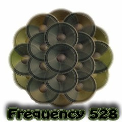 Frequency 528 Records