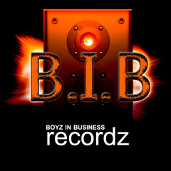 bibrecordz