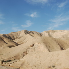 Gavriela Devir