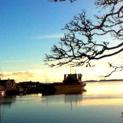 Donald Dollag Macleod