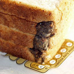 Breadmau5
