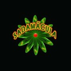 Sadamácula Contemporâneo