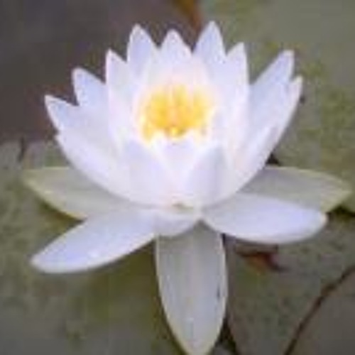 6.Chit Thu Ma Shi Tae`A Chein