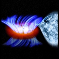 Great Ape Productions