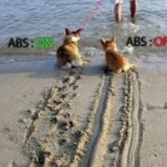 Le Chris TsuPakabras