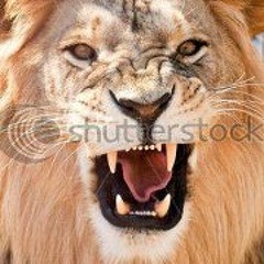 Radikal Lioness