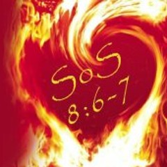 Kim Eggleston Lively