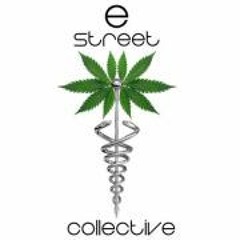 E Street Collectiv