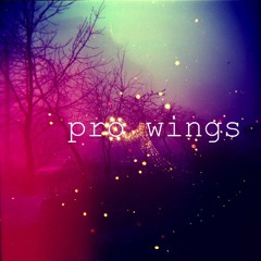 Pro Wings