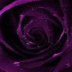 Sunflower Kimi Johnson