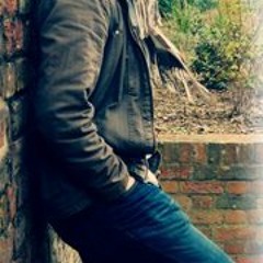 Formula 1 - V12 Engine Sound