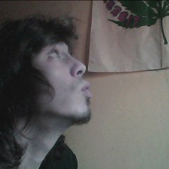 Sadelf (ArteMágica Org.)