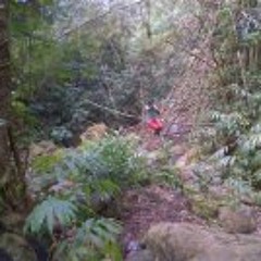 Christopher Morris 8