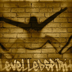 levelledspirit