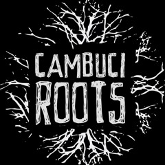 cambuciroots