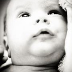 user1680252