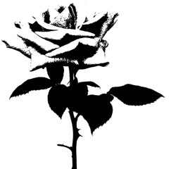 Stream Juoda Balta Music | Listen To Songs, Albums, Playlists For.