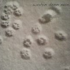 Salinika Weiandrischka