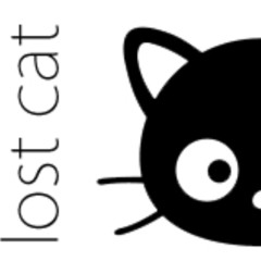 Lost Cat
