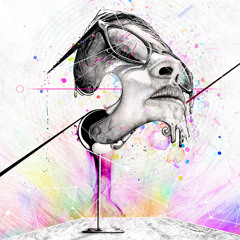 Electro.Circuit.Toluca