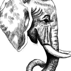 Elephant-Head
