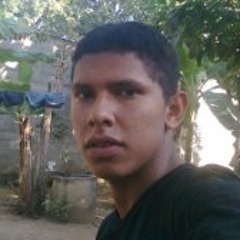Diganster