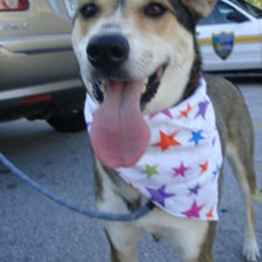 Christopher Parker 8