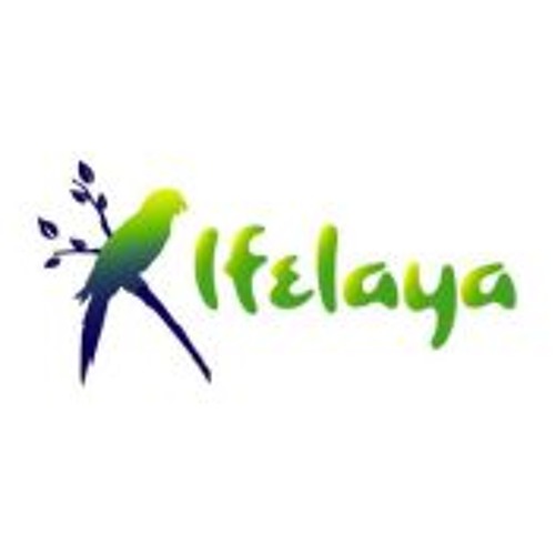Ifelaya Ltda’s avatar