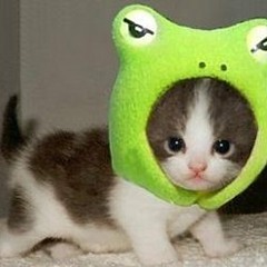 Rella (feat. Hodgy Beats, Domo Genesis & Tyler, The Creator) (Wub Machine Remix)