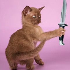 Pussyfoot-Poodletongue