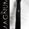DJ.Magnum