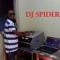 DJspider