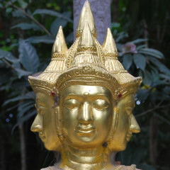 YAOS-20