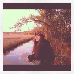 chinacatsunflowr