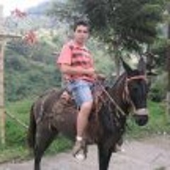 jorge arroyave