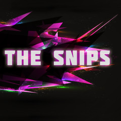 THE SNIPS
