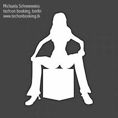 schneeweiss acoustics