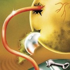 21st Century Schizoid Man - (Maynard)