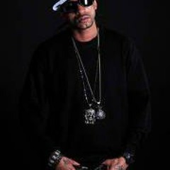 Konyac Westcoast Don