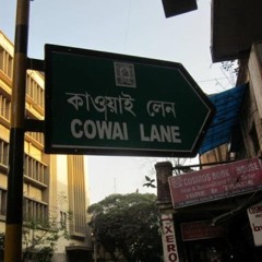 Milk the Cow Newcastle