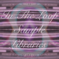 In The Loop Libraries