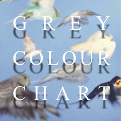 Grey Colour Chart