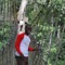 Frank Aidoo