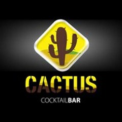 Cactusbar Santa Marta