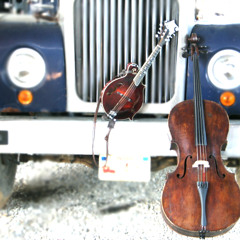 MillbranchStringTheory