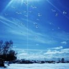 Tracy J. Olson-Spalding