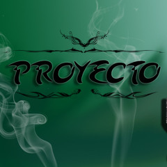 El_proyecto